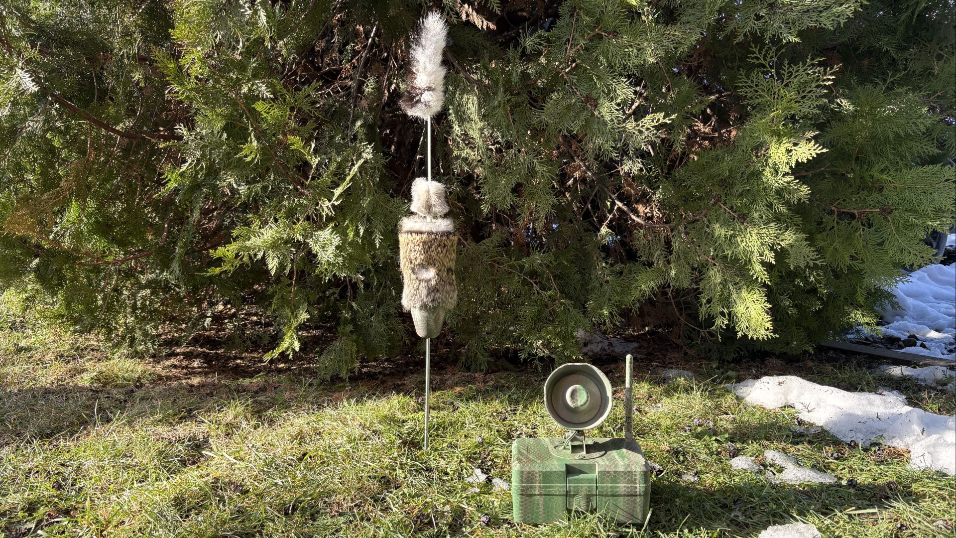 Комплект приманка + манок но хищнику с пультом ДУ смотреть онлайн