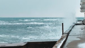 Зима тоже зимует в Анапе😂 16.01.2026 Прогулка к морю Что выбросило море нам сегодня #русскоеморе