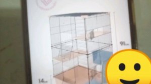 6 часть шиншилла