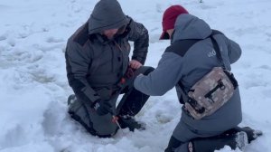 Форель на доширак