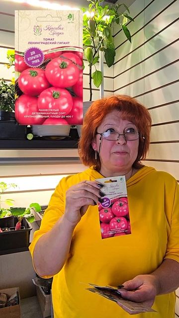 Эти томаты стоит посадить в этом сезоне — проверено вкусом и урожаем смотреть онлайн