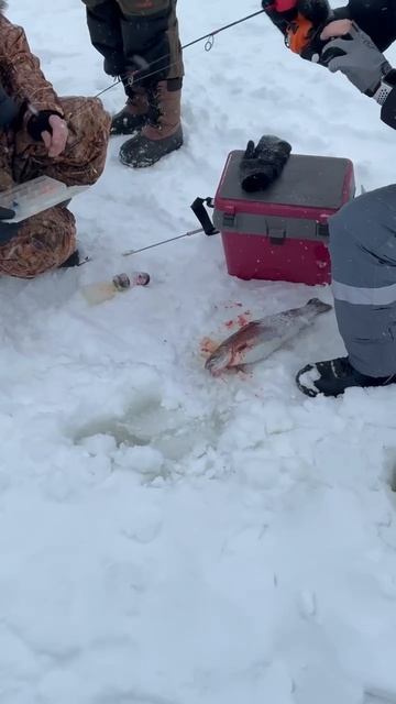 29/01/2026 смотреть онлайн