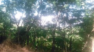 VID_20250701_163005-2