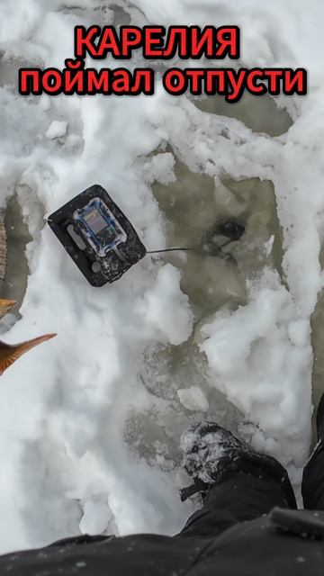 Поймал Отпусти Карелия 2026 смотреть онлайн