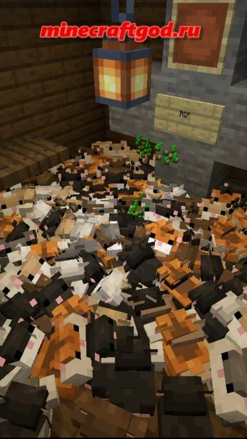 Что будет если Хомяки будут размножатся бесконечно #shorts #майнкрафт #minecraft Что будет если Хомяки будут размножатся бесконечно #shorts #майнкрафт #minecraft