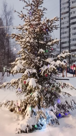 Сверкающая елка во дворе, конец января, снегопад.