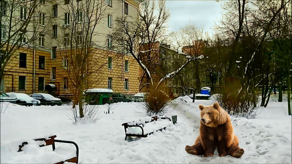 Зимний двор на Среднеохтинском проспкте смотреть онлайн