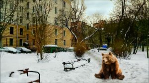 Зимний двор на Среднеохтинском проспкте