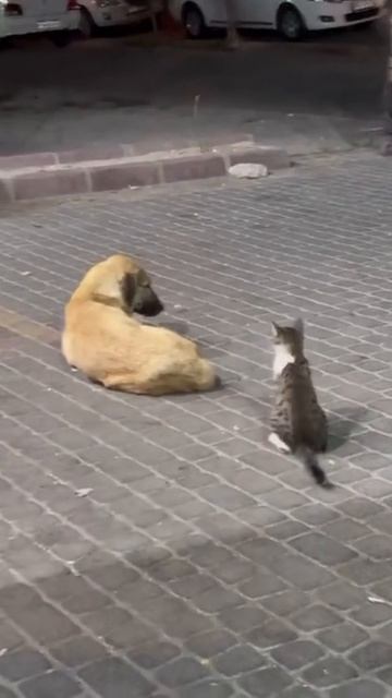 Когда захотелось немного проблем