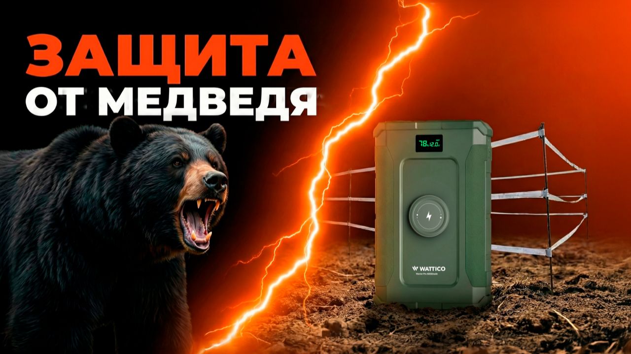 Электроизгородь от медведя: опыт использования в туризме