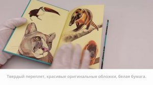 Коллекция Бомбора Story