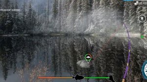 Звуки Природы Отдых на Рыбалке🎣 Арктический Голец и Пятнистая Панцирная Щука🌿🐟