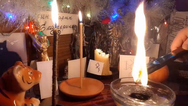 КРАДНИКИ! ЧИСТКА С ОТКАТОМ! смотреть онлайн