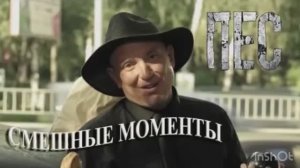 Сериал пёс: самые смешные моменты.