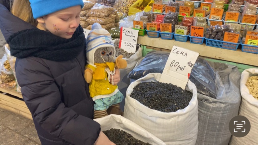 БАСИК учится зимой заботиться о птицах / Семейка Басиков и Мисс Фаина смотреть онлайн