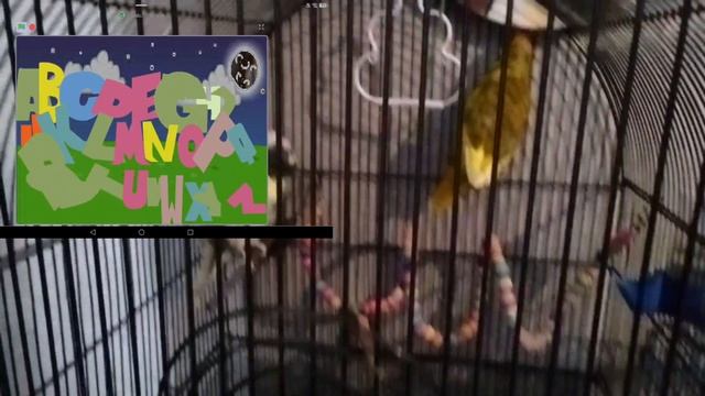 alphabet dancing смотреть онлайн