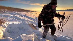 Дедовский способ ловли куропаток. Охота на боровую дичь. Местные традиции.