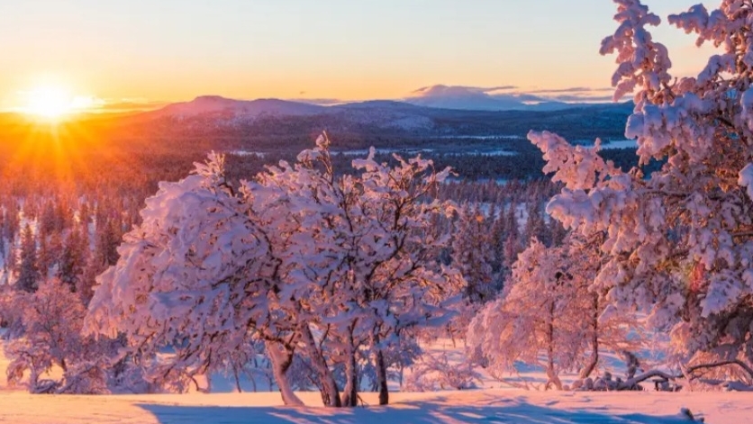 СП Добиваю недовязы 5/2026 Отчёт 5 с Мариной Стоговой смотреть онлайн