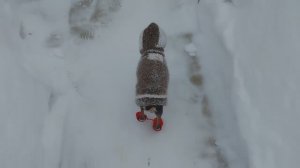 Замуровали демоны😂