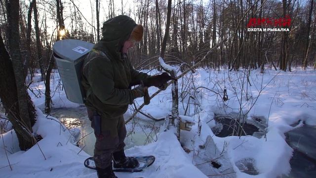 Звероловы. Охота на норку зимой. смотреть онлайн