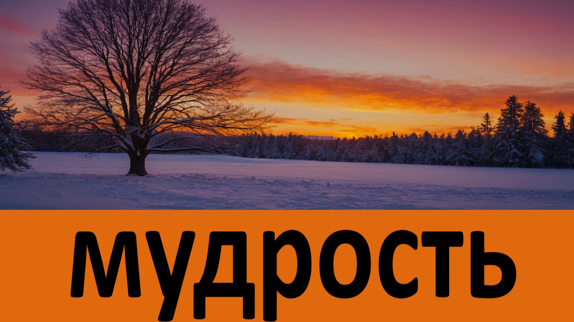 Это нужно скрывать от всех! Мудрость от Никона Воробьева смотреть онлайн