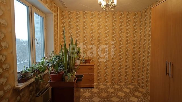 Солнечный бульвар 15 смотреть онлайн