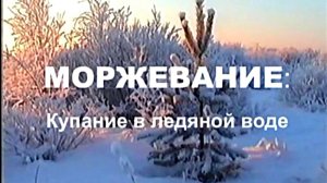 МОРЖЕВАНИЕ: купание в ледяной воде (Rem)