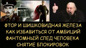 ✅ Н.Левашов: Фтор и шишковидная железа. Как избавиться от амбиций. Фантомный след. Снятие блокировок