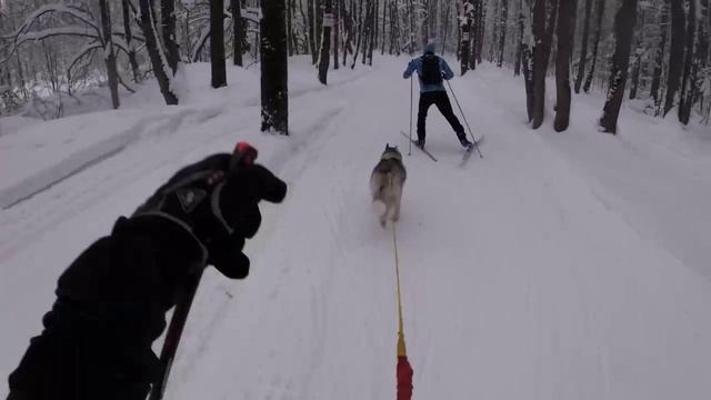 Буксировка лыжника (Скиджорринг) смотреть онлайн