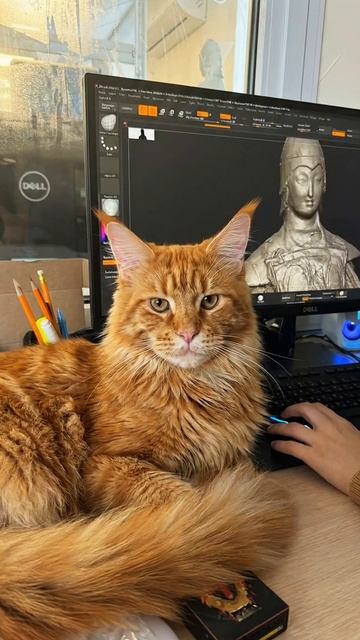 Кот Voxel 7 причин почему нужна 3D модель для 3D печати смотреть онлайн