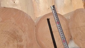 Баня в чашу 5*6 с крыльцом