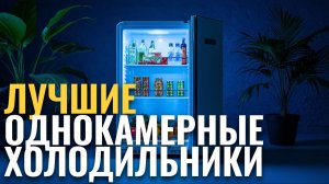 Лучшие однокамерные холодильники 2026: обзор ТОП‑5 моделей.