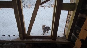 💖Дом, который почти ПОТЕРЯЛИ... Как Мы возвращаем его