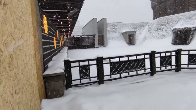 Заснеженный Белгород 30.01.26. смотреть онлайн