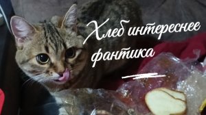 Ася повелительница горбушки 🤣