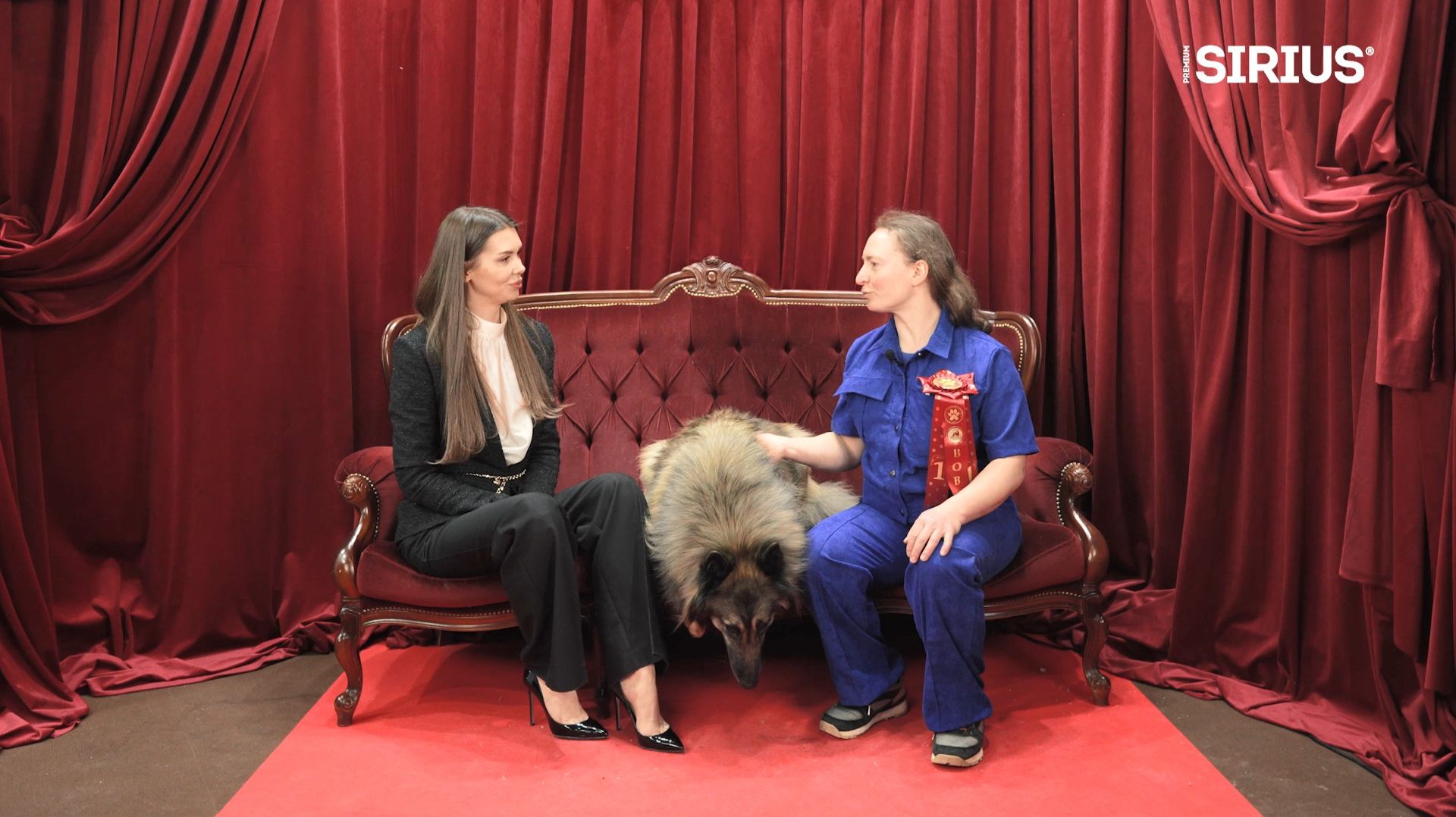 Секреты лидеров. ЛУЧШИЕ СОБАКИ РОССИИ. # 8