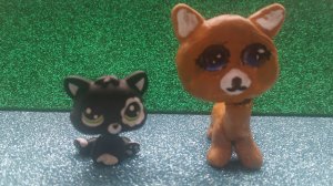 LPS: Конкурс Слепи Пета