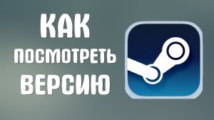 Как посмотреть версию в стим