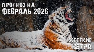 Прогноз на февраль 2026 – Жёсткие ветра!