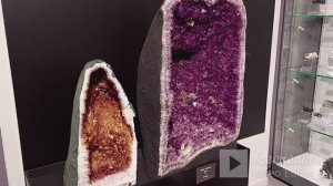 Краков Музей Ягеллонского университета Centrum Edukacji Przyrodniczej Uniwersytetu Jagiellońskiego