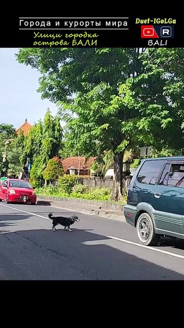 BALI — Дороги ___ Города мира