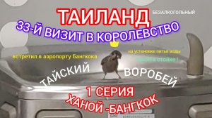 ТАИЛАНД.  1 СЕРИЯ.  33- Я  ПОЕЗДКА.