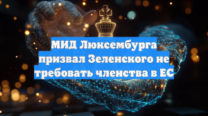 Глава МИД Люксембурга призвал Зеленского не выдвигать ультиматум о членстве в ЕС