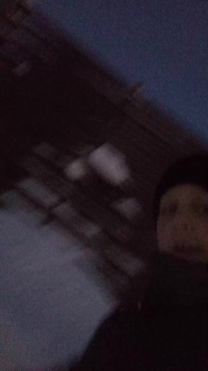 приехала баню