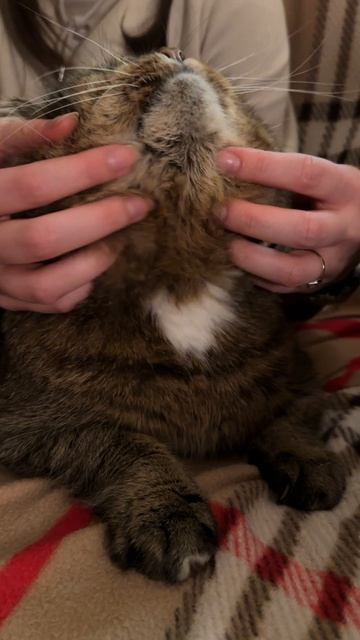 Вечерние посиделки 30-01-2026 смотреть онлайн