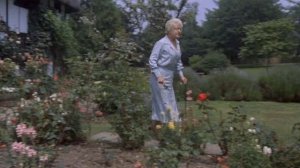 Зеркало треснуло 1980