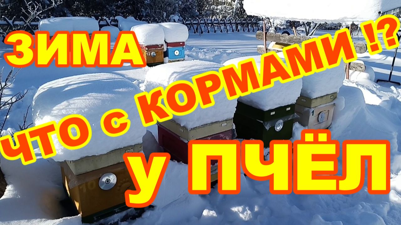Зима что с КОРМАМИ у ПЧЁЛ ! Осмотр ульев на наличие КОРМОВ ЗИМОЙ ! Зимовка ПЧЁЛ в ульях ППС и ППУ ! смотреть онлайн