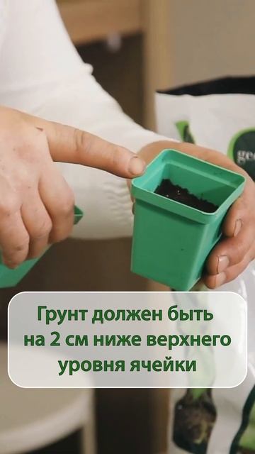 Как получить урожай редиса, когда за окном еще снег?