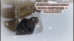 ДНЕВНИК лесного кота: «БАРС-снегоход» - 28-01-2026