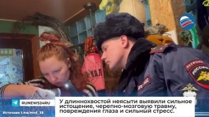 Полицейские спасли травмированную сову на трассе в Иркутской области